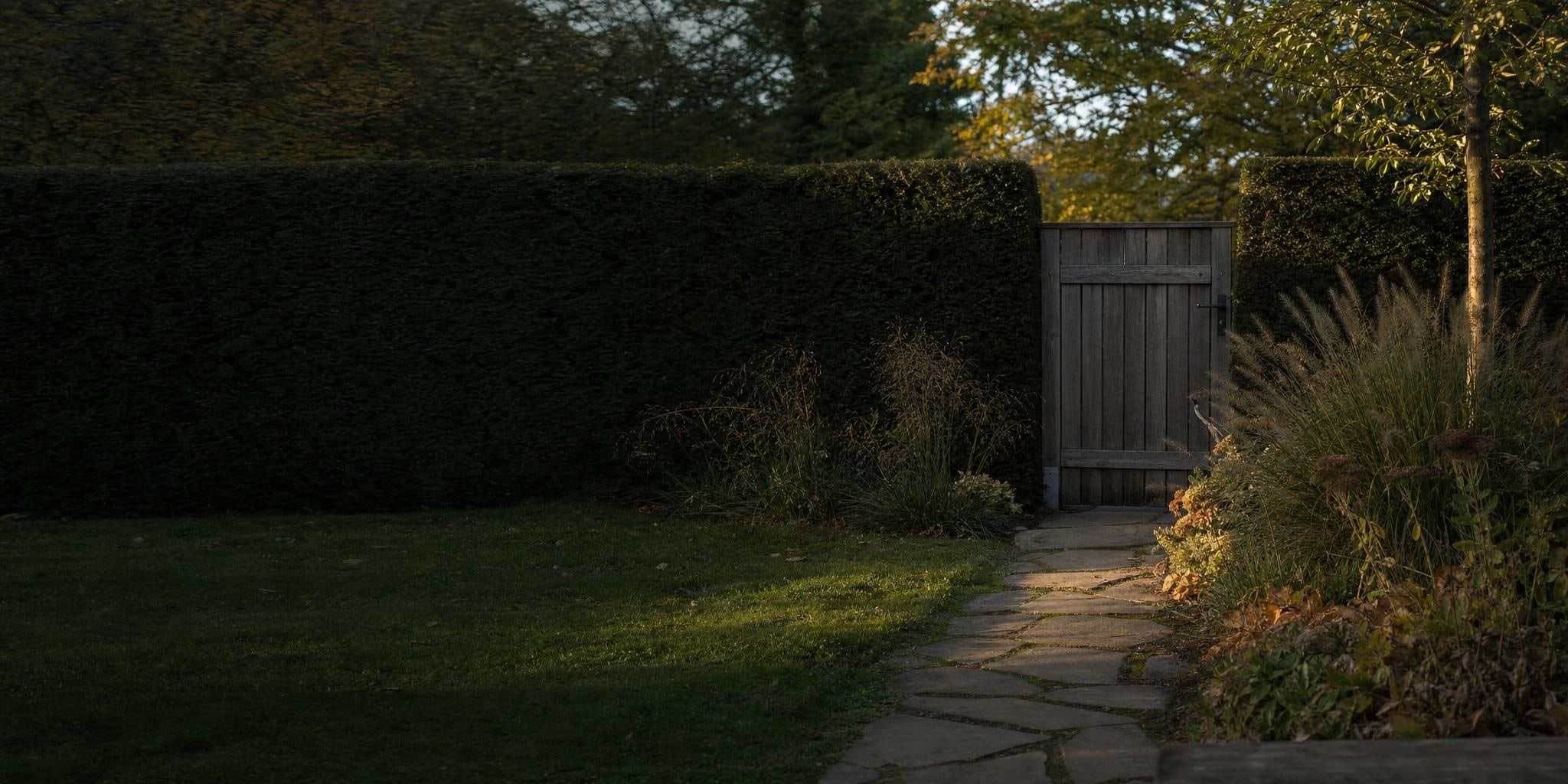 Natursteinweg durch einen Garten im Abendlicht, am Ende ein Holztor in einer geschnittenen Hecke